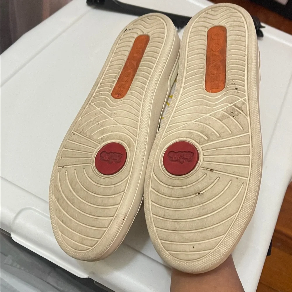 Coach Clip Low Top Sneaker In Rainbow Signature Canvas 6.5